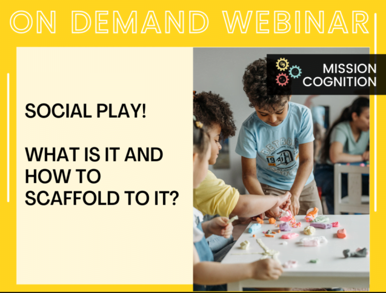 Social Play! What is it & How to Scaffold to it?