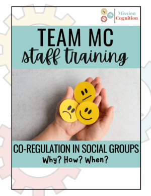 Co-Regulation in Social Groups: Why? How? When?